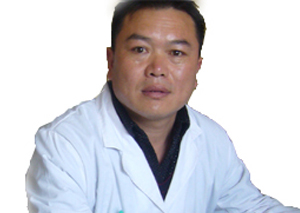 专家团队